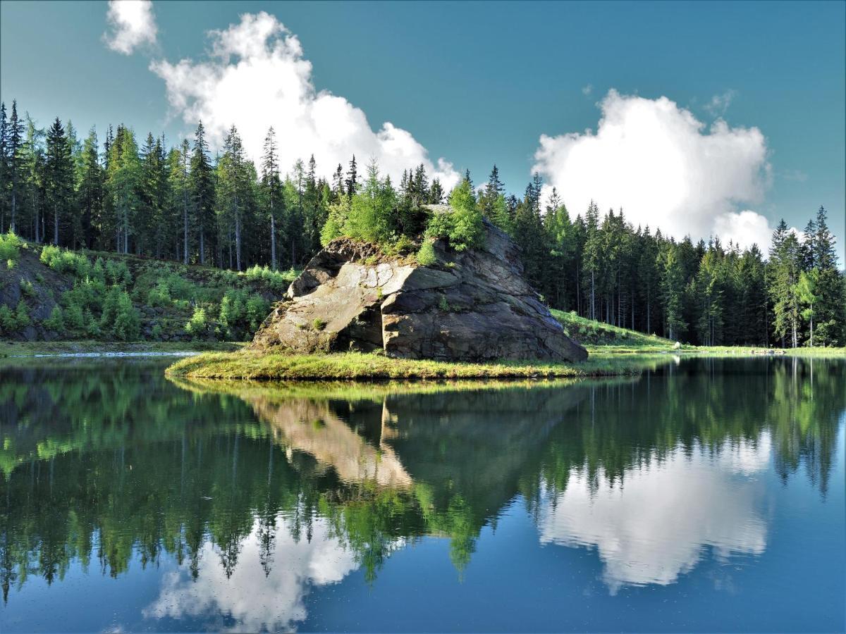 Naturforsthaus Gartenblick Fuer Hunde - Und Naturverbundene Menschen Preitenegg Extérieur photo