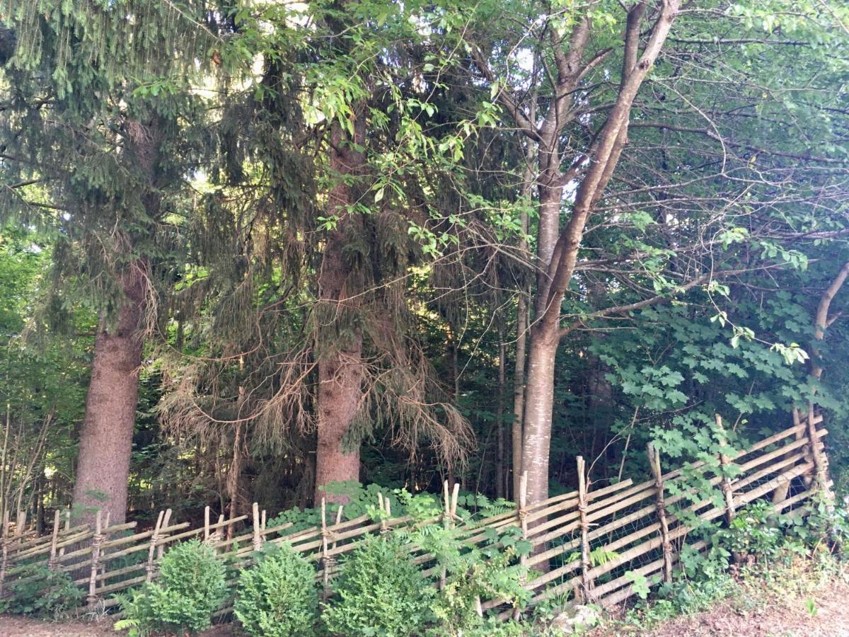 Naturforsthaus Gartenblick Fuer Hunde - Und Naturverbundene Menschen Preitenegg Extérieur photo