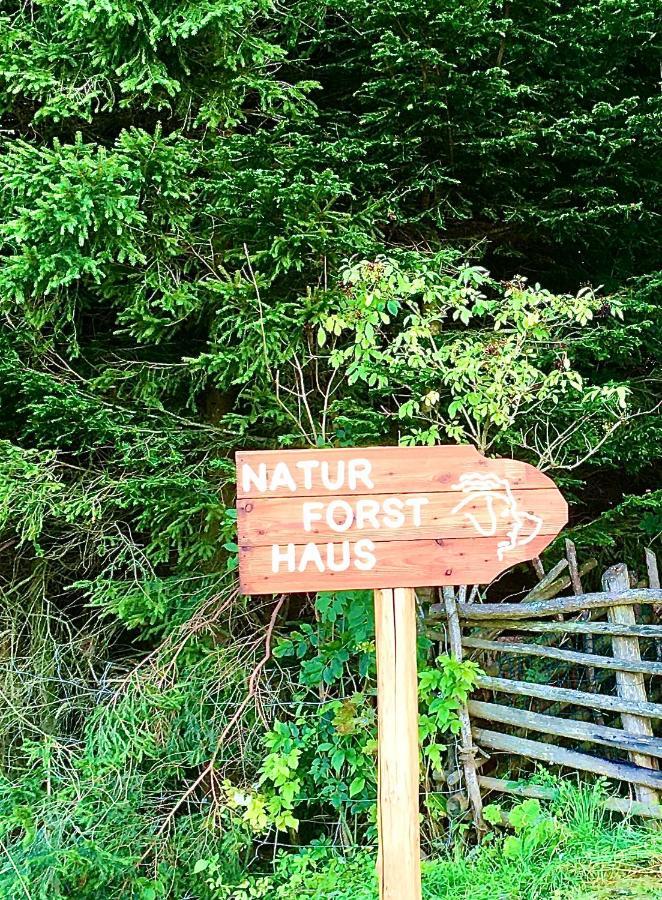 Naturforsthaus Gartenblick Fuer Hunde - Und Naturverbundene Menschen Preitenegg Extérieur photo