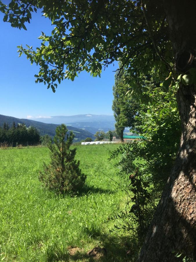 Naturforsthaus Gartenblick Fuer Hunde - Und Naturverbundene Menschen Preitenegg Extérieur photo
