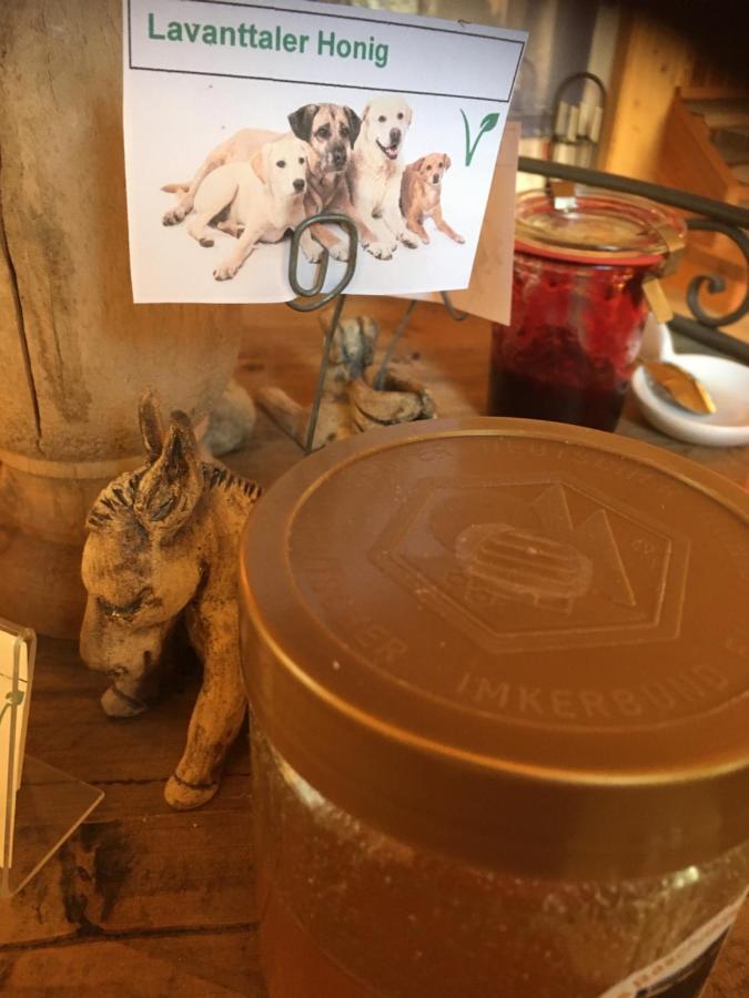Naturforsthaus Gartenblick Fuer Hunde - Und Naturverbundene Menschen Preitenegg Extérieur photo
