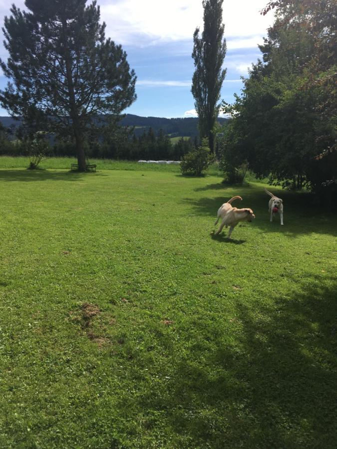 Naturforsthaus Gartenblick Fuer Hunde - Und Naturverbundene Menschen Preitenegg Extérieur photo
