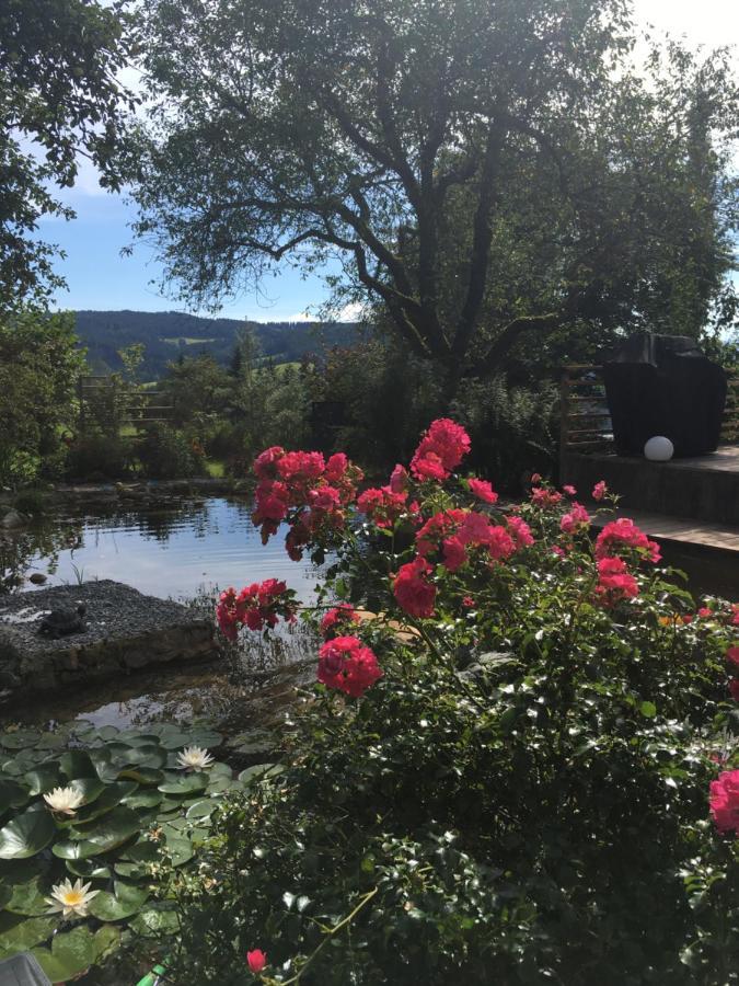 Naturforsthaus Gartenblick Fuer Hunde - Und Naturverbundene Menschen Preitenegg Extérieur photo